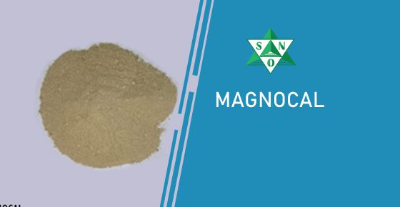 MAGNOCAL